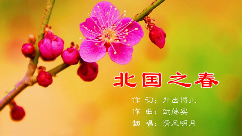 《北国之春》亭亭白桦,悠悠碧空,微微南来风 清风明月翻唱